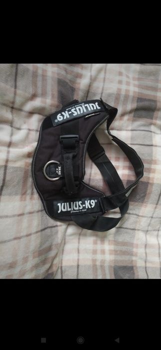 Szelki Julius K-9