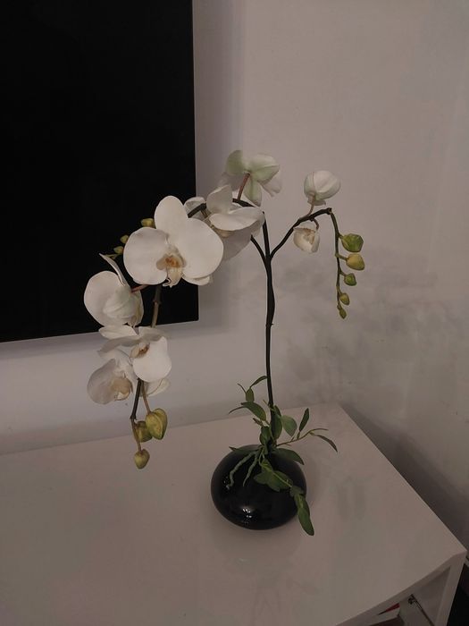 Vaso com orquídea