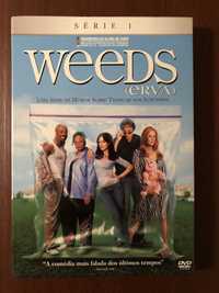 Serie Weeds - primeira temporada season 1 Nova