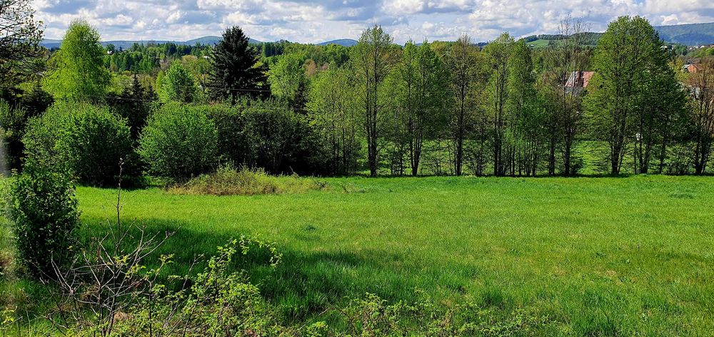 Działka budowlana  Gorlice ul. Graniczna małopolskie powiat Gorlicki