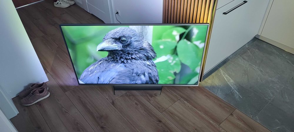 55-calowy telewizor 4K Philips 55PUS8303 z technologią Ambilight