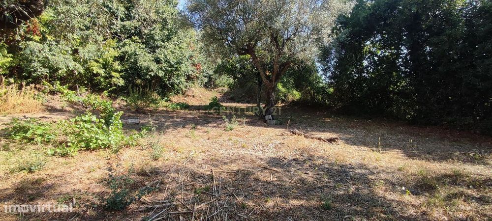 Terreno para construção de moradia em Geria, às portas da cidade de Co