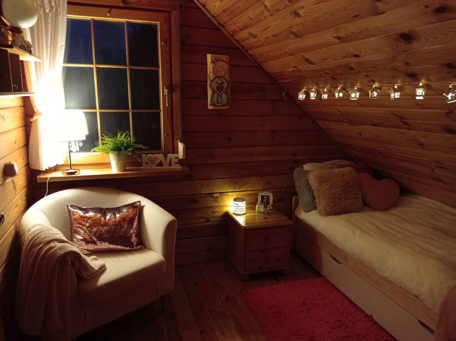 Bajkowy drewniany domek nad jeziorem z linią brzegową i prywatnym molo