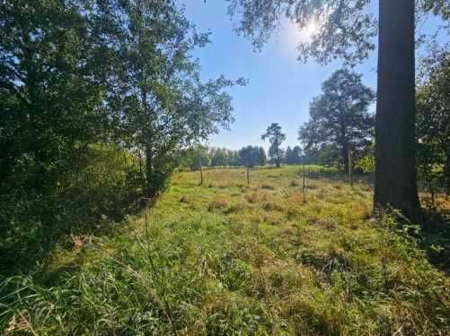 Bydgoszcz ok. Kobylarnia Działka 2220 m2 wśród zieleni- Stodoła GRATIS