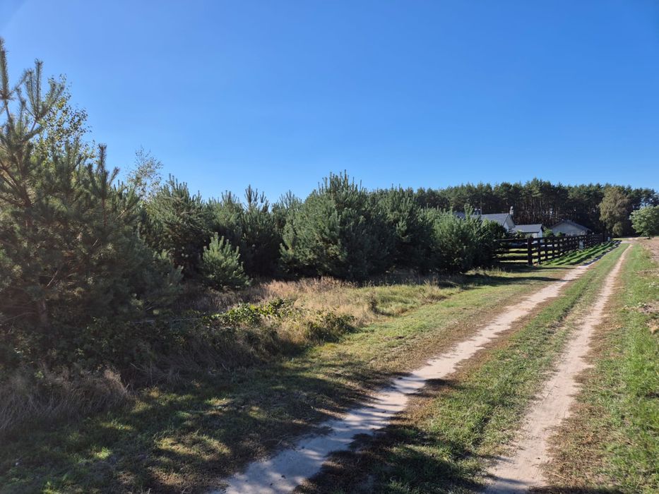 Działka budowlana 1500 m2, Mierzyn, praw. warunki zabudowy, prąd, woda