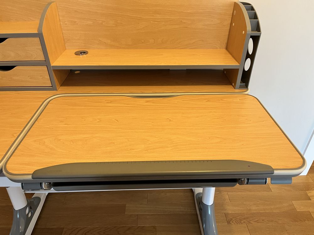 Biurko Ergodesk Bologna