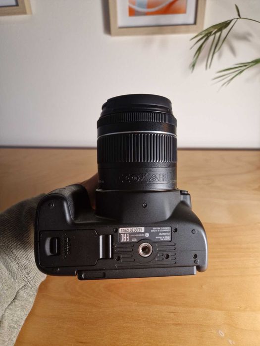 Canon EOS 250D + Canon EF-S 18-55mm f/4-5.6 IS STM