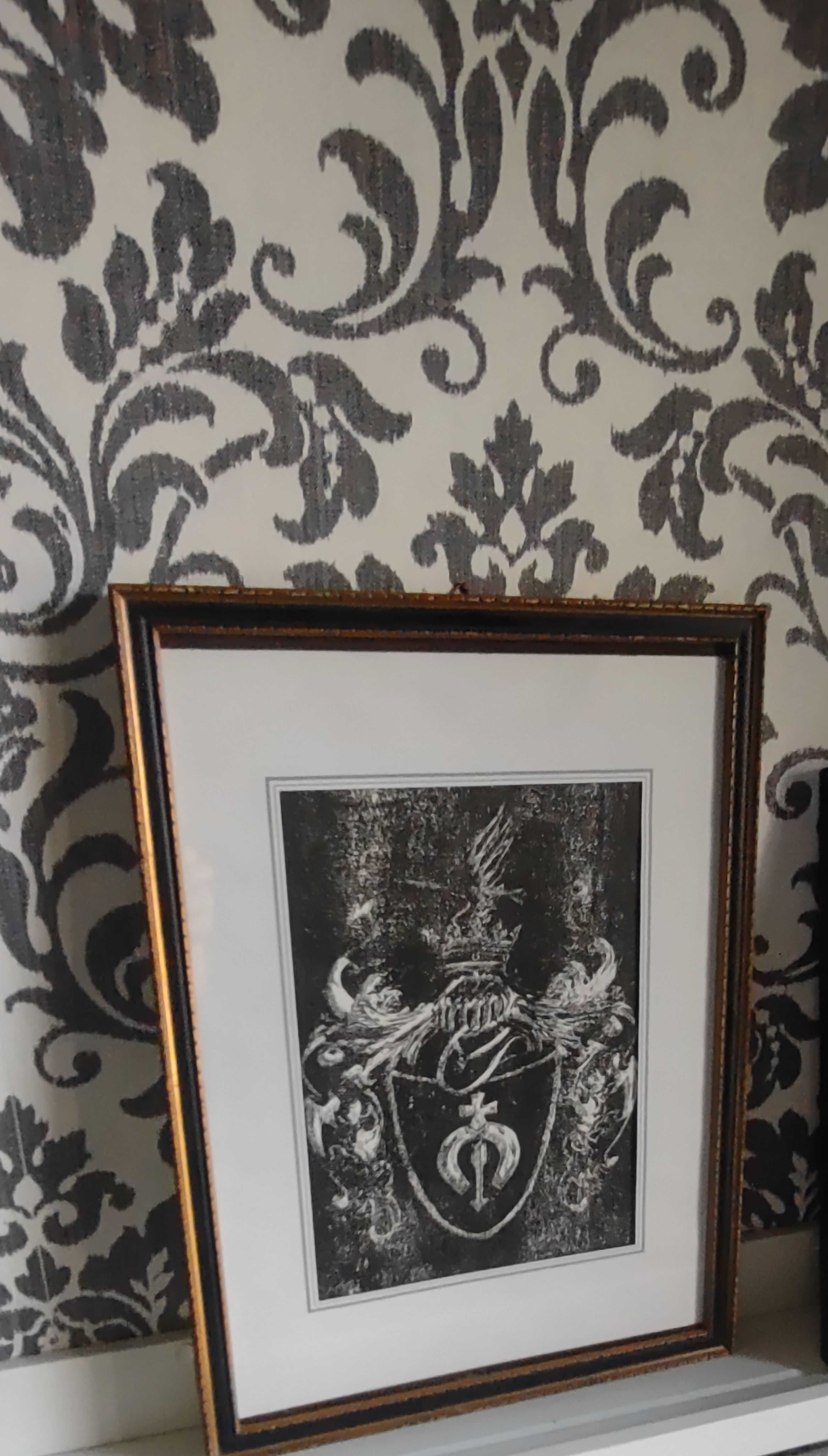 Herb Dołęga szlachecki artystyczna grafika w starej ramie 33x45cm.