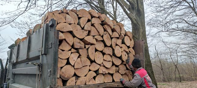 Дрова твердолистяні тверда порода деревина дров'яна паливна