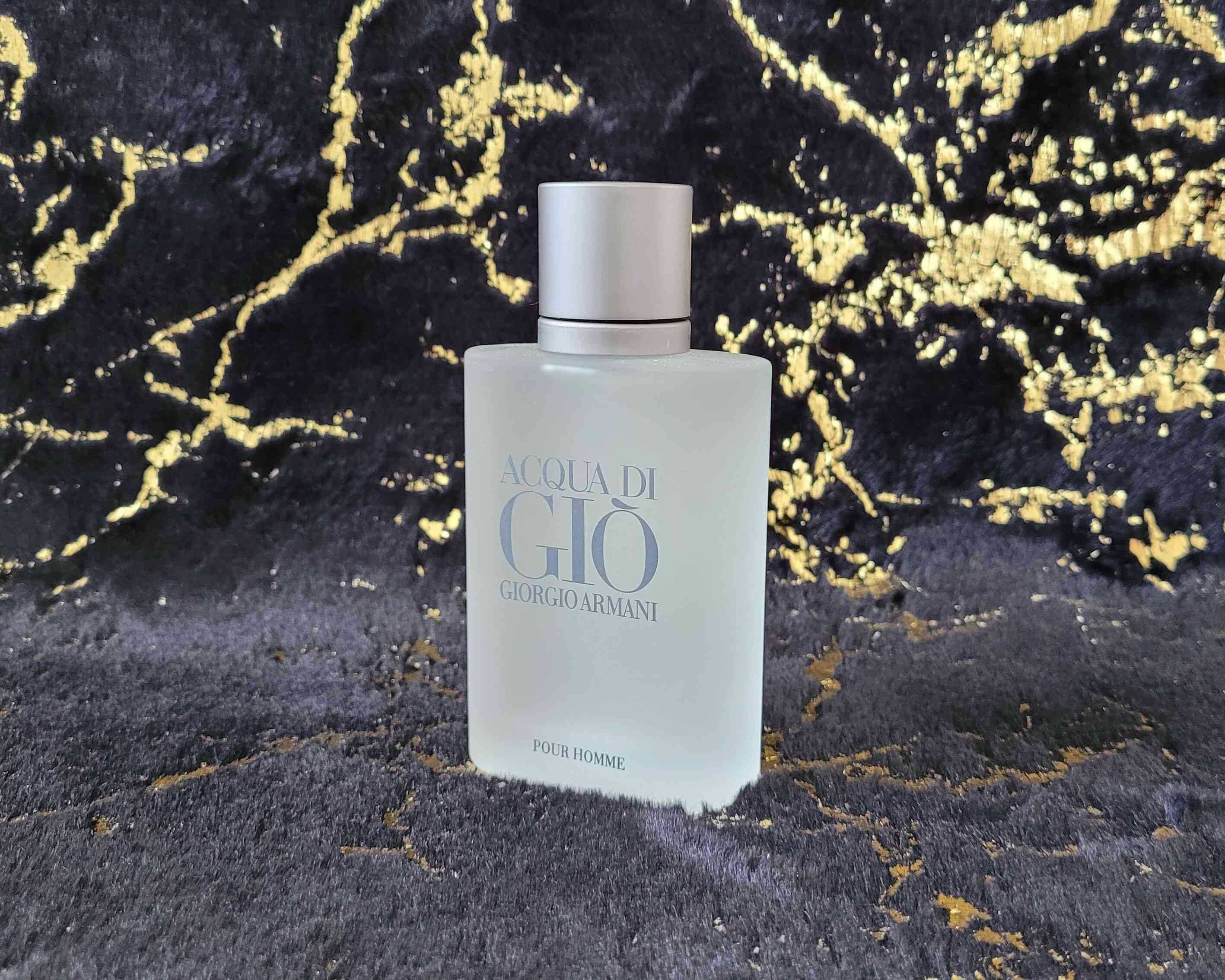 Giorgio Armani - Acqua di Gio Pour Homme (EDT) - 100ml