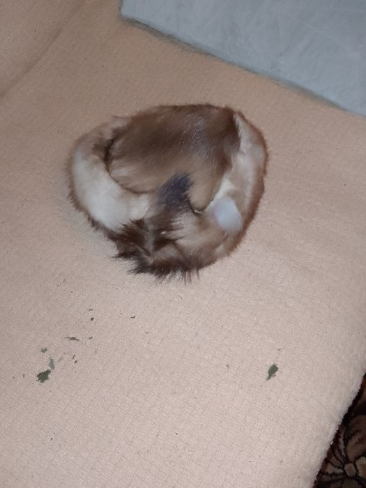 Futrzana czapka vintage