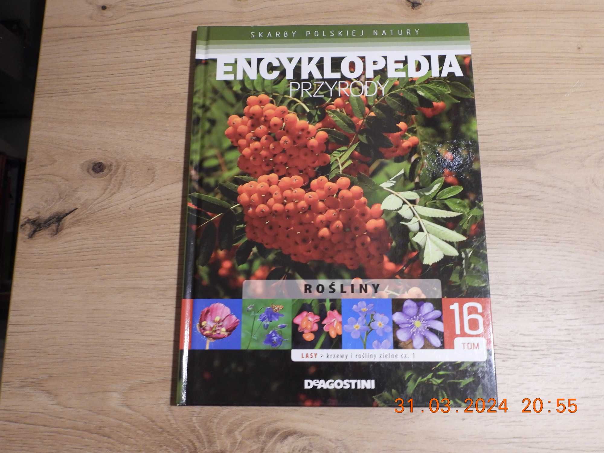 Encyklopedia Przyrody - Tom 16 - Rośliny -krzewy i rośliny zielne cz.1