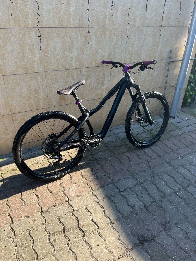 Rower dartmoor hornet pro