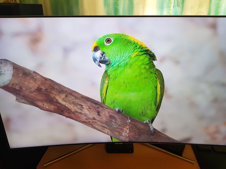Samsung Qled 55q7c 4k 120hz