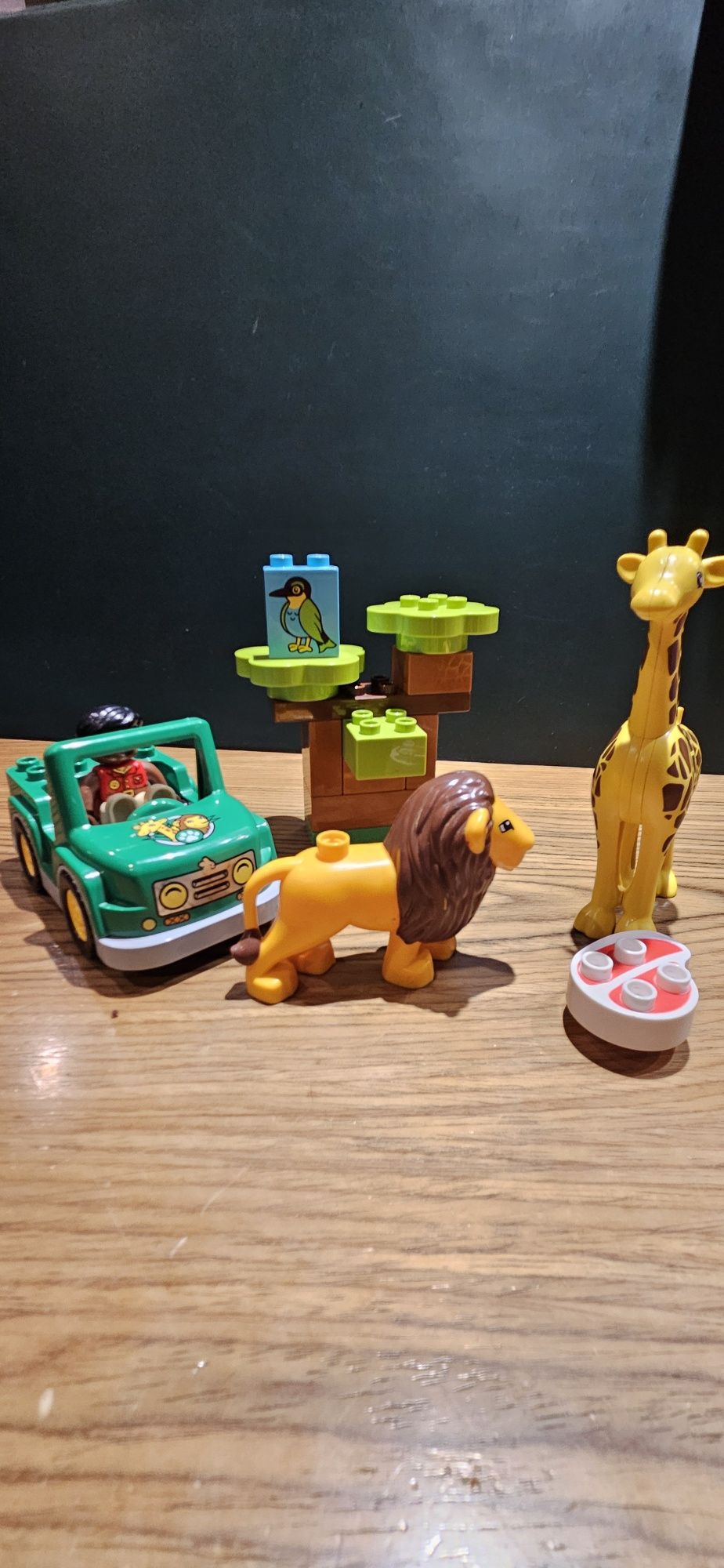 Lego duplo zestaw safari lew
