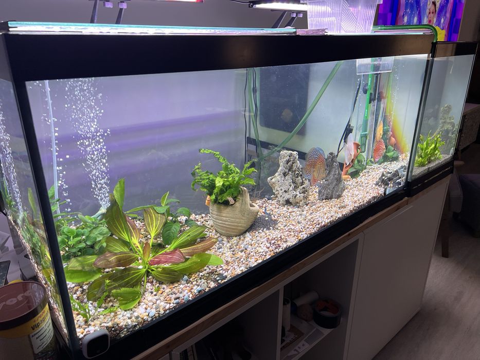 Aquario  220 litros