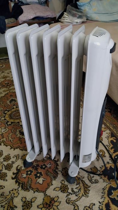 Товар заказан покупателемКактус комнатный