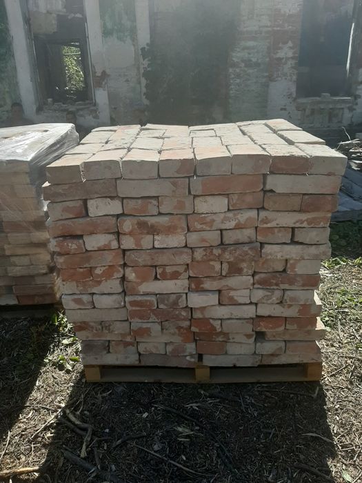 Продам Екатериненка