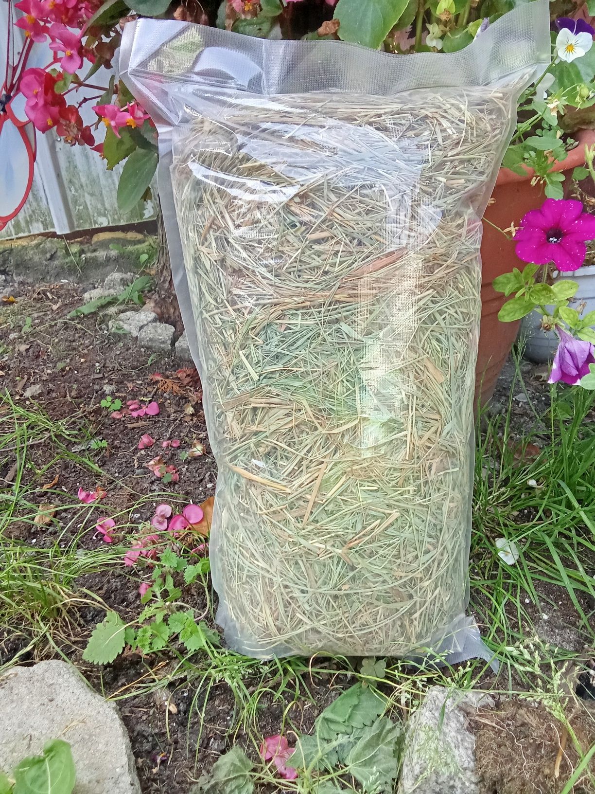 Siano ekologiczne dla gryzoni królików 1 kg