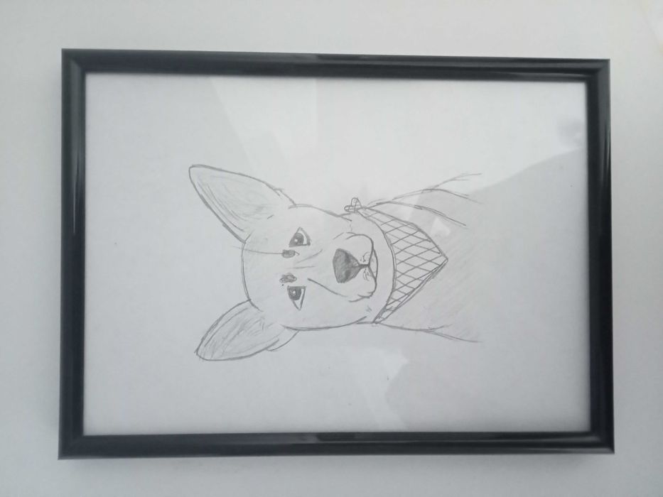 rysunek psa ołówkiem a5