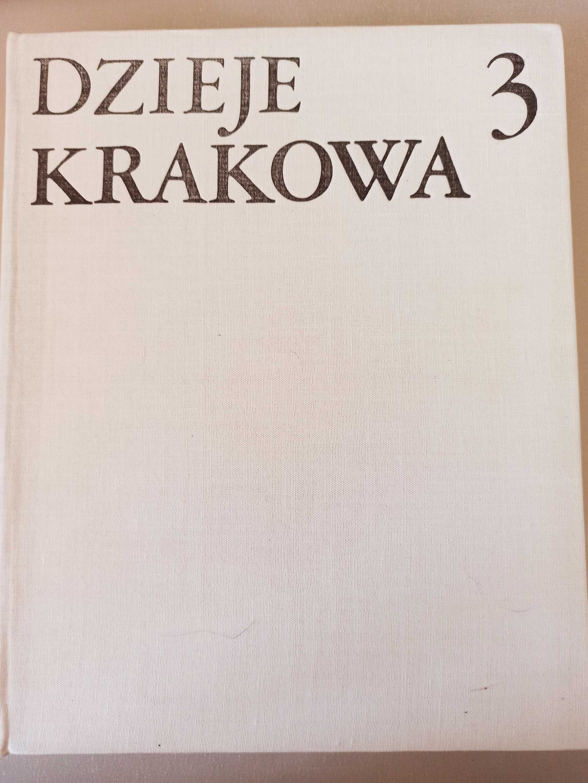 Dzieje Krakowa 3