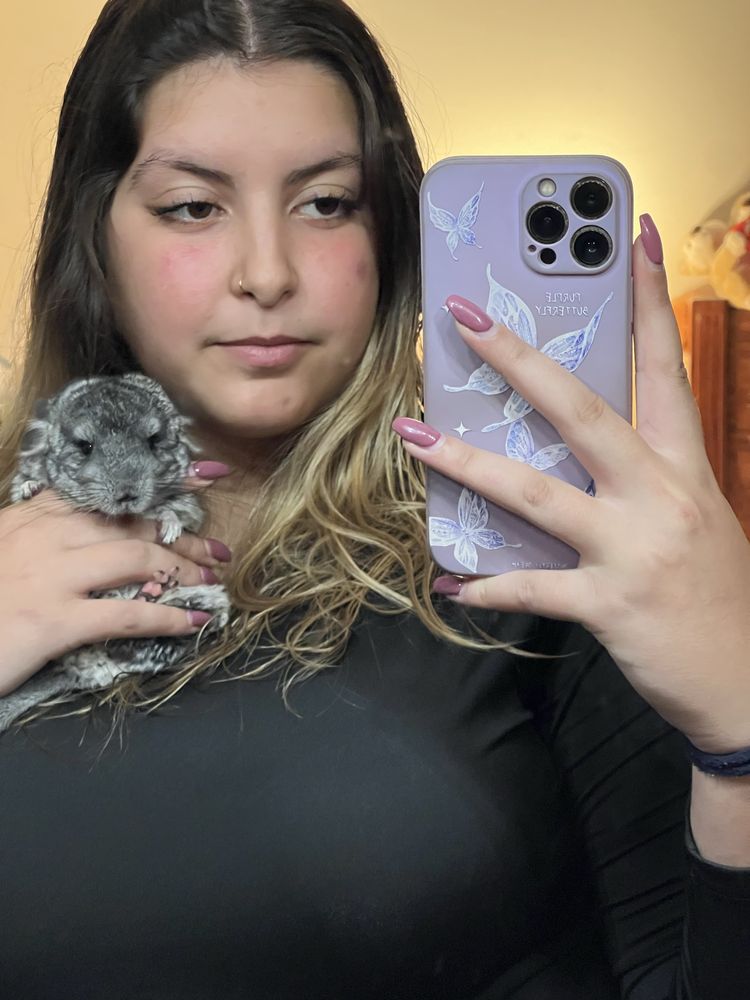 Petsitter Aveiro e arredores