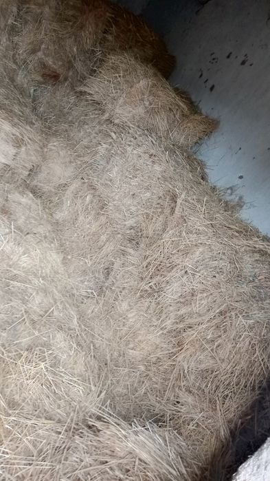 Продам Сено недорого