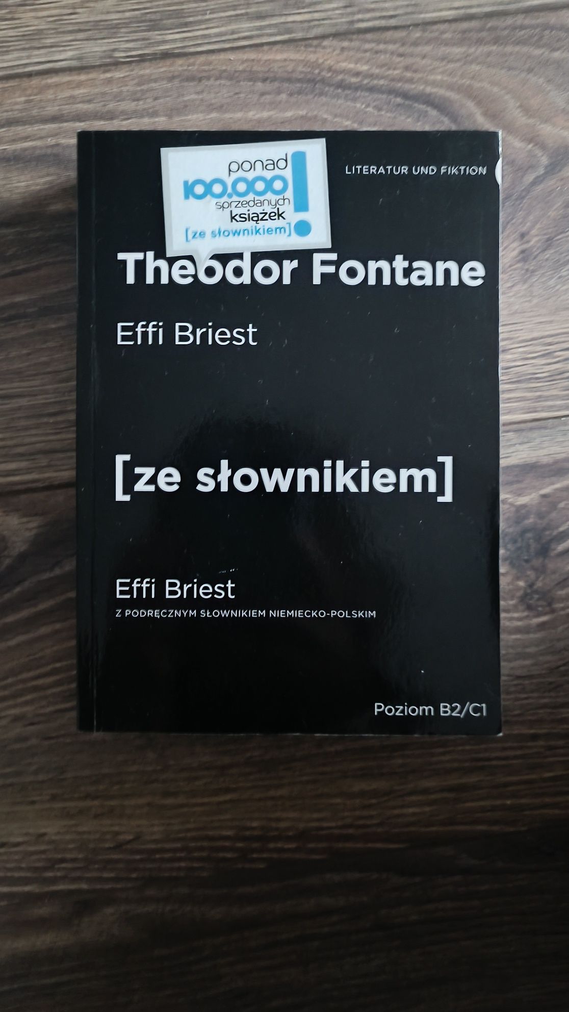 Effi briest że słownikiem - Theodor fontanr