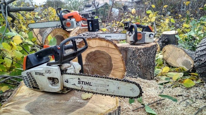 Спил деревьев, обрезка веток, покос травы