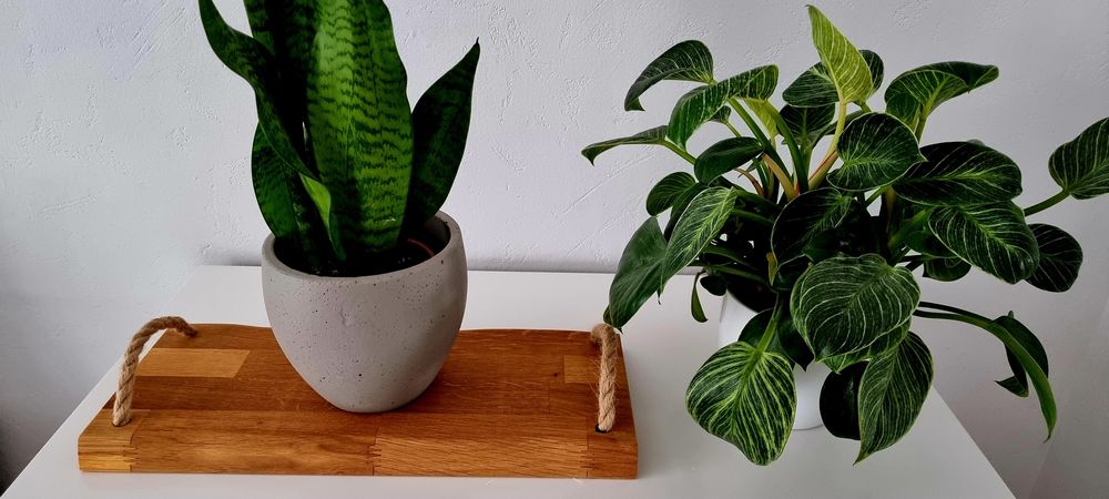 Deska dębowa ozdobna