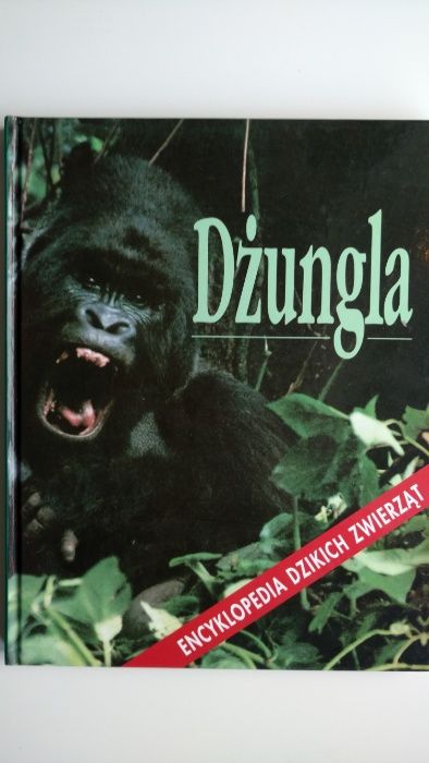 Dżungla Encyklopedia dzikich zwierząt