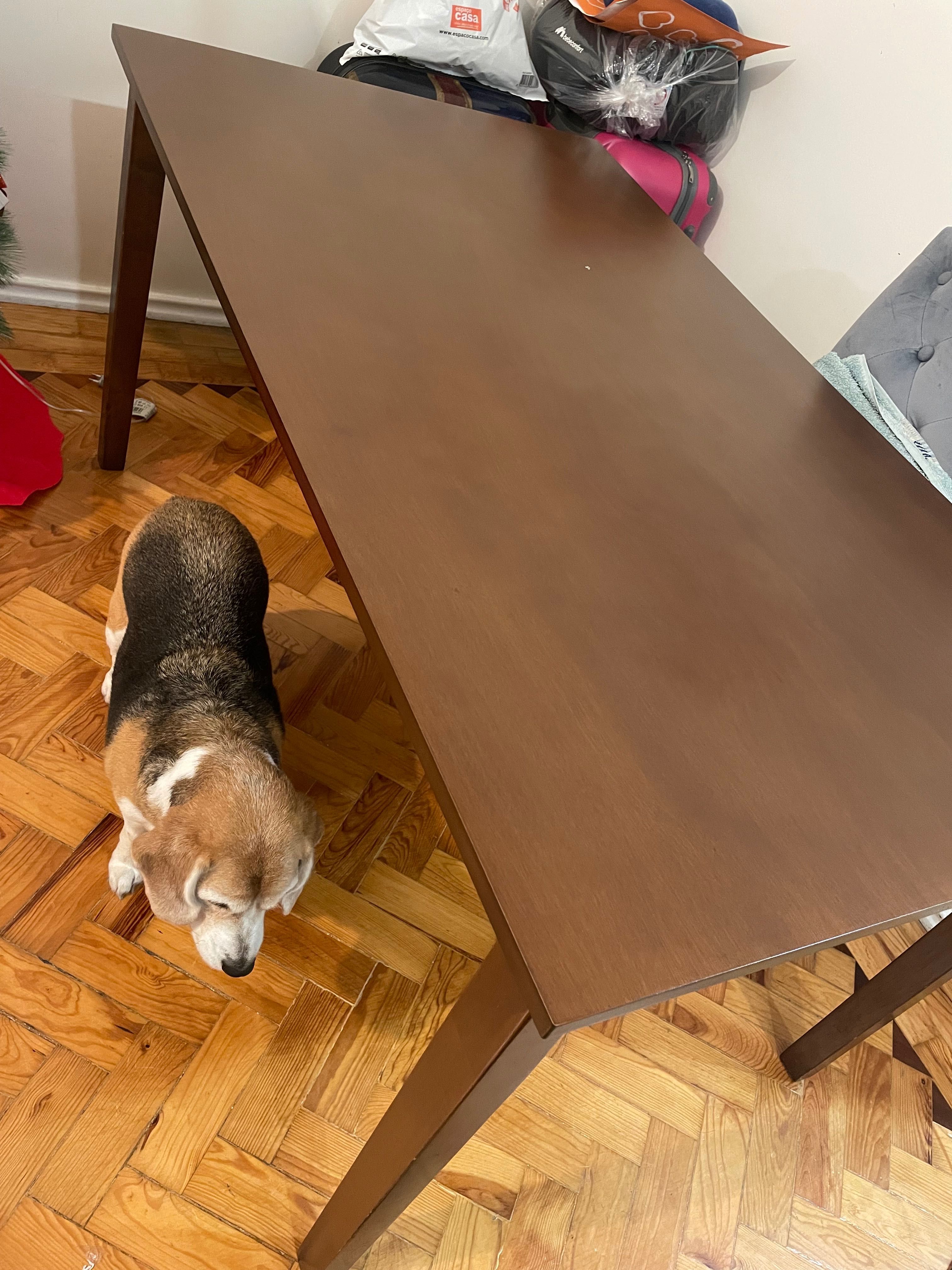 Mesa em boas condições