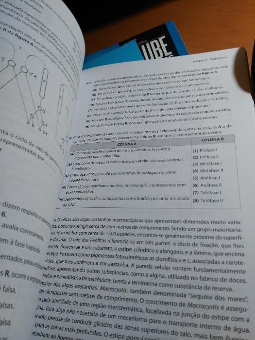 Livro de Exames - Biologia e Geologia 11.º Ano