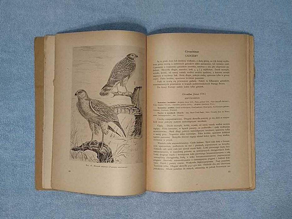 Ornitologia Łowiecka (ptaki łowne Europy) 2 tomy