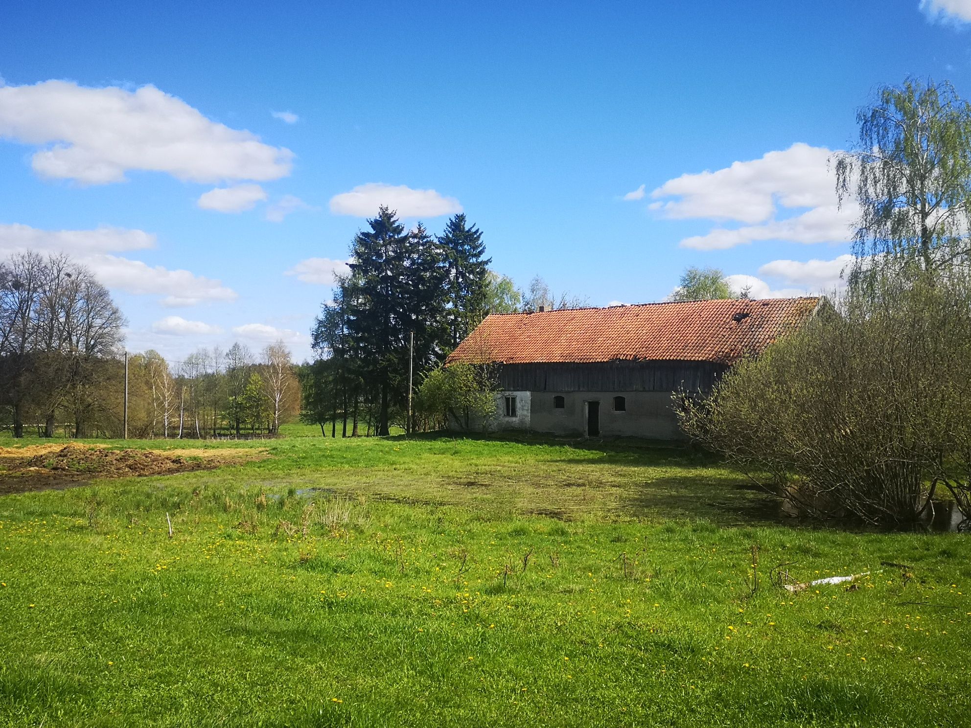 Mazury 14,97ha  w jednym kawałku z budynkiem gospodarczym  Warmia/Maz