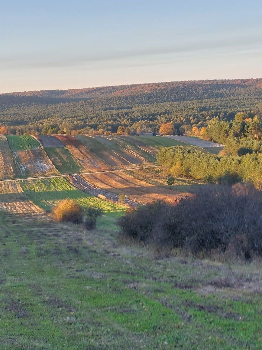 Domek na Roztoczu  Obrocz, zwierzyniec, spływy kajakowe, paintball,