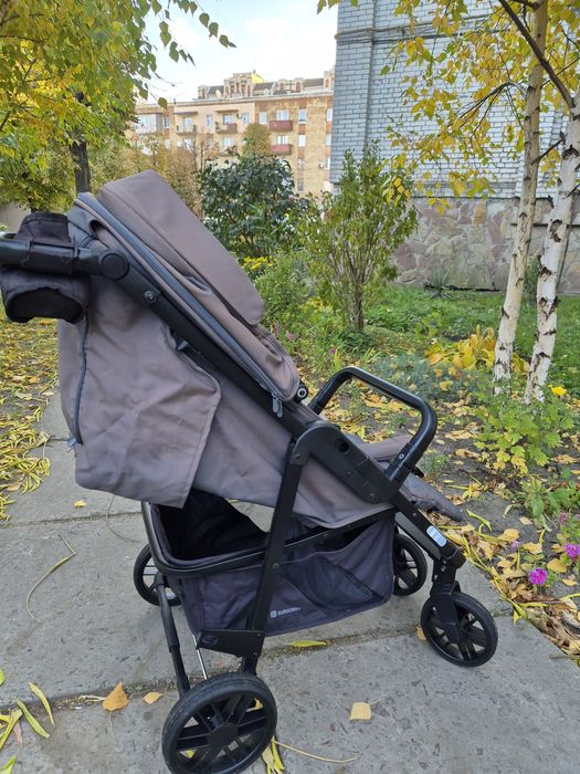 Коляска euro cart flex