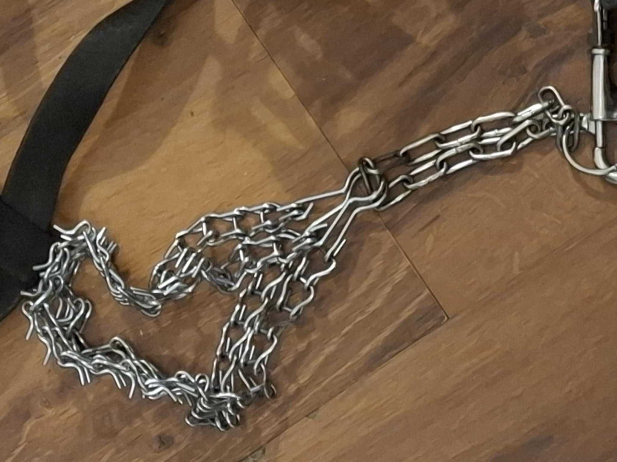 Smycz Flexi GIANT taśma 8m xl plus dodatki