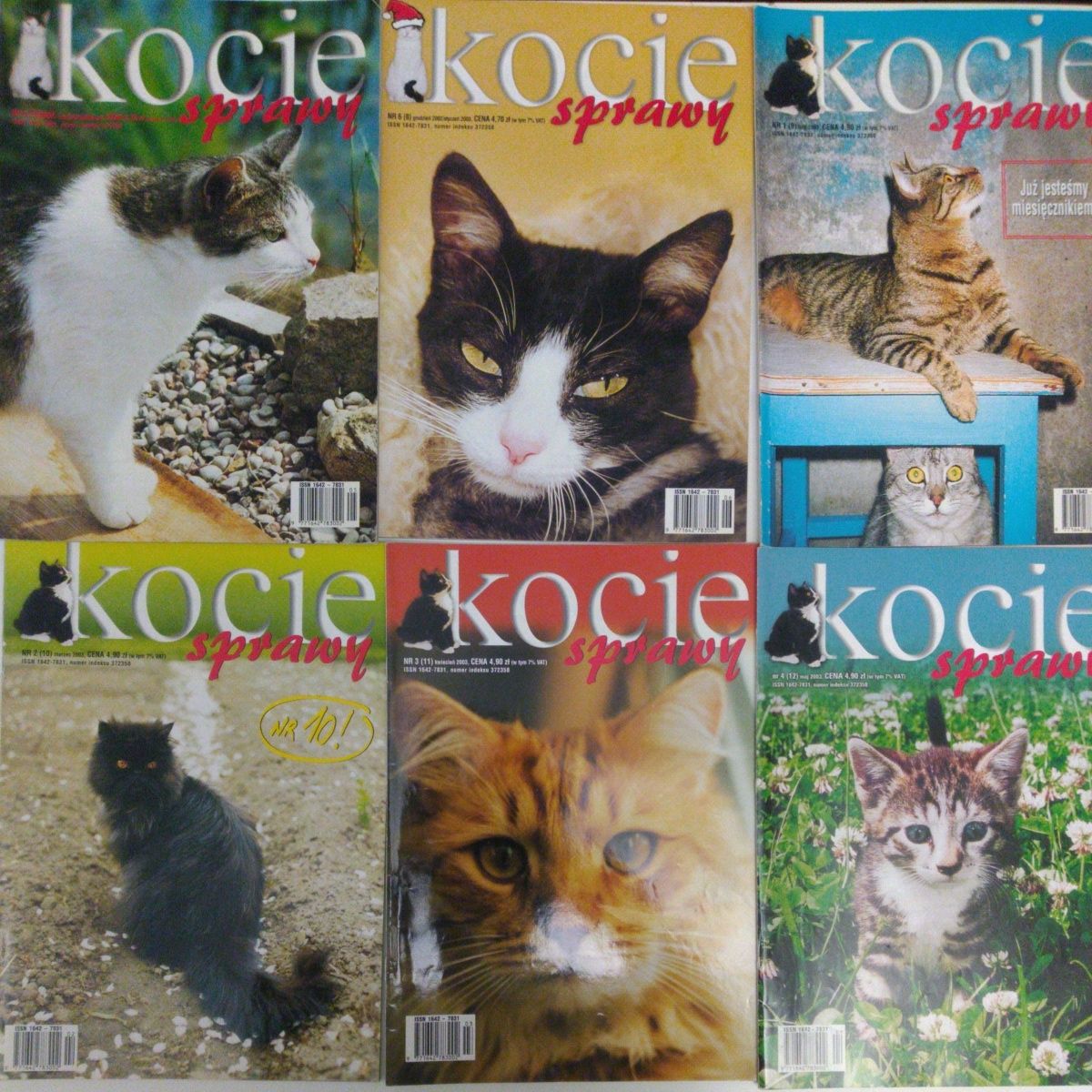 Magazyn Kocie Sprawy 35 numerów