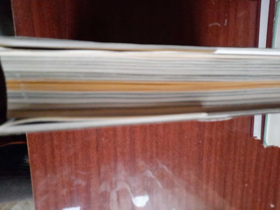 книга - царь зверей не лев