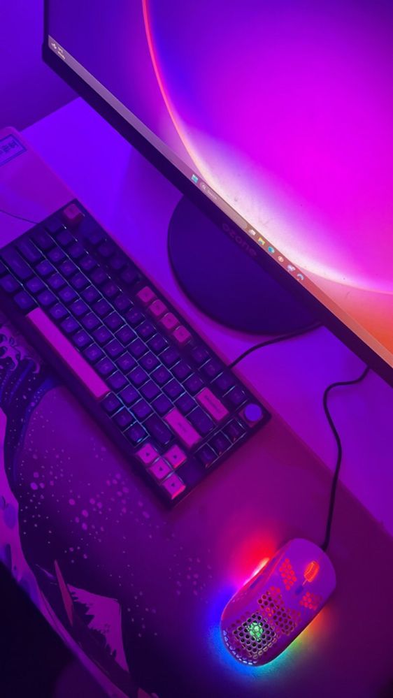 Gaming Setup Completo
