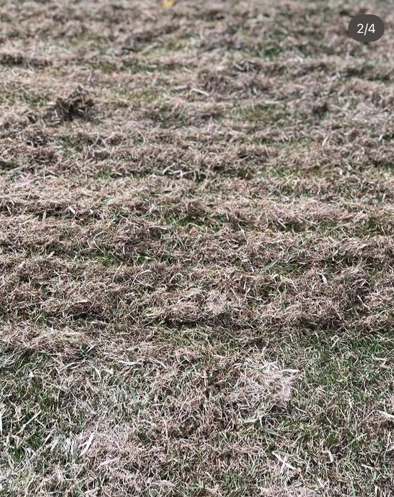 Аренда аэратора скарификатора  для газона Al-ko