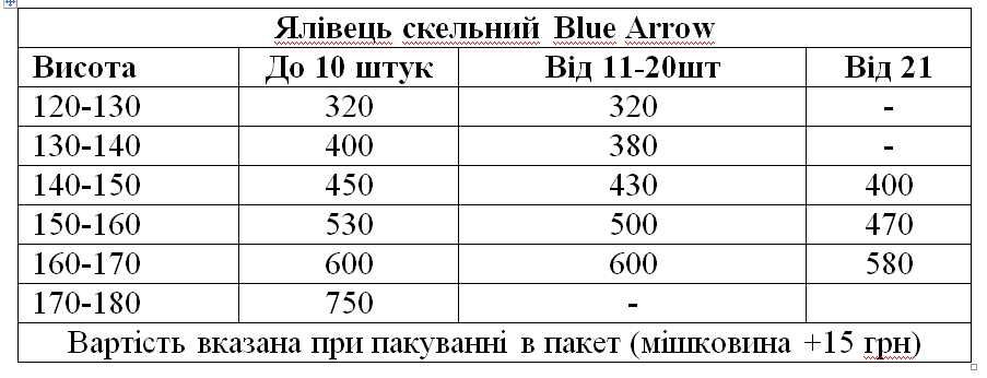 Кипарисовик, ялівець скельний Блю Аров, гортензії, туя смарагд