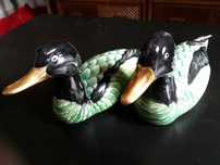 Par de patos  em loica