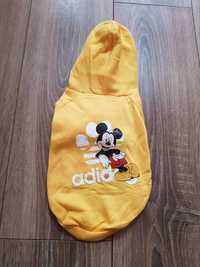 Żółta bluza z kapturem dla psa Myszka Miki Mickey Mouse Adidog Disney