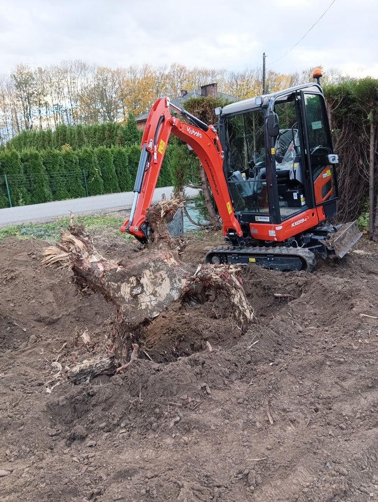 Wycinka drzew Karczowanie Sprzątanie gałęzi Prace wysokościowe Mulczer