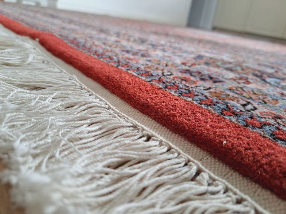 Piękny gabinetowy ręcznie tkany wełniany dywan Bidjar 250x375cm nr1483