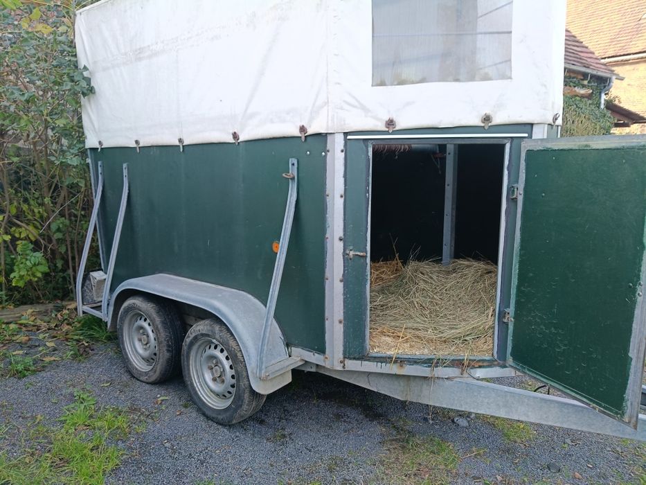 Przyczepa koniowóz, do przewozu koni, kat.B, DMC 1300 kg