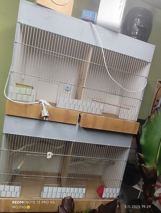 Klatka dla kanarków