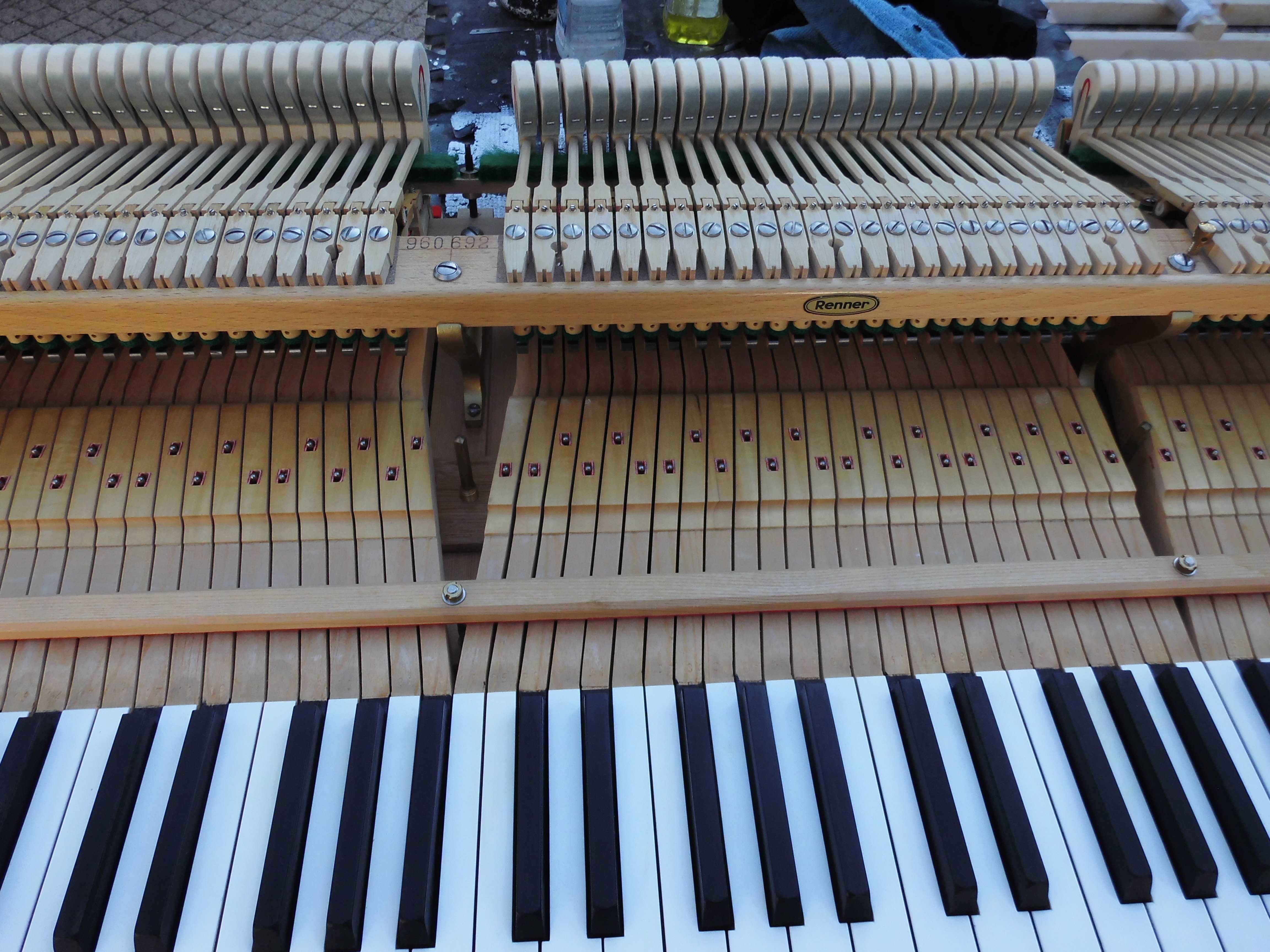 Grotrian Steinweg M185 renner Fortepian dla konesera Germany